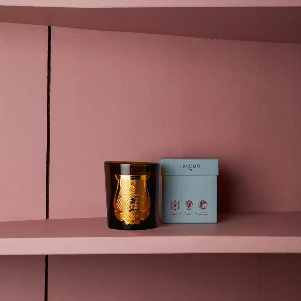 Bougie parfumée Trudon 270g - Odalisque>Merci Paris Cheap