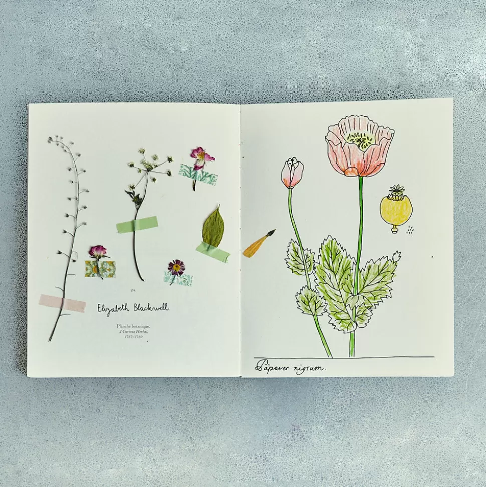Livre - Fleurs de Zoé de las Cases>Merci Paris Clearance